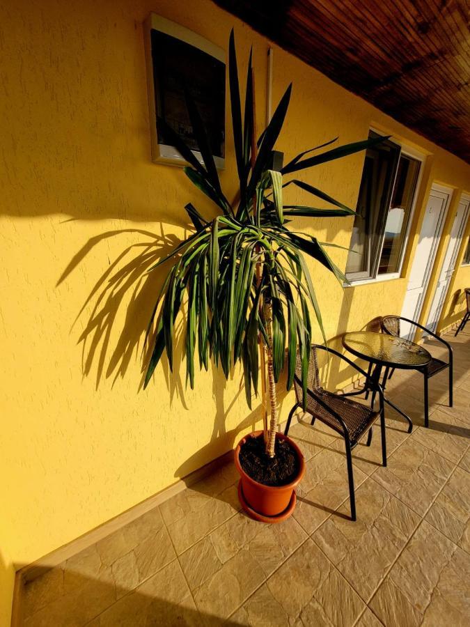 Cabana Varad Coronini Moldova Veche 외부 사진