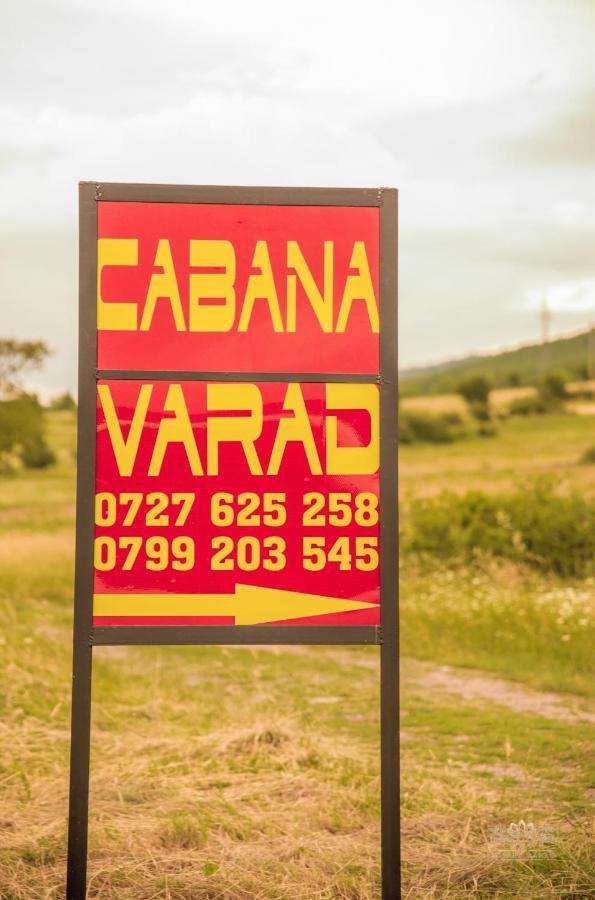 Cabana Varad Coronini Moldova Veche 외부 사진
